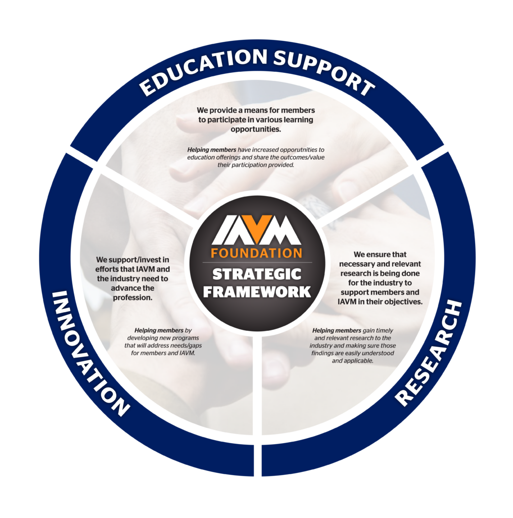 Foundation Framework Infographic